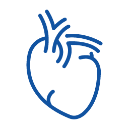 Ecocardiograma com<br>Doppler